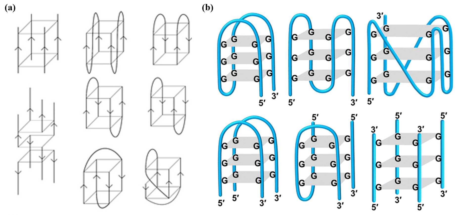 image-20251009030907968