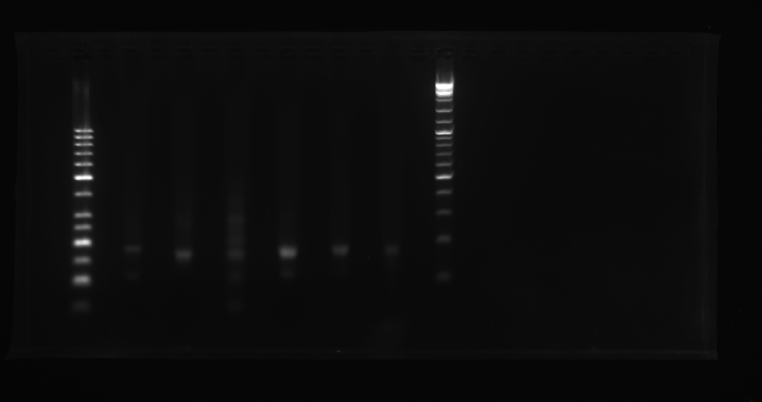 image-20251008211311958