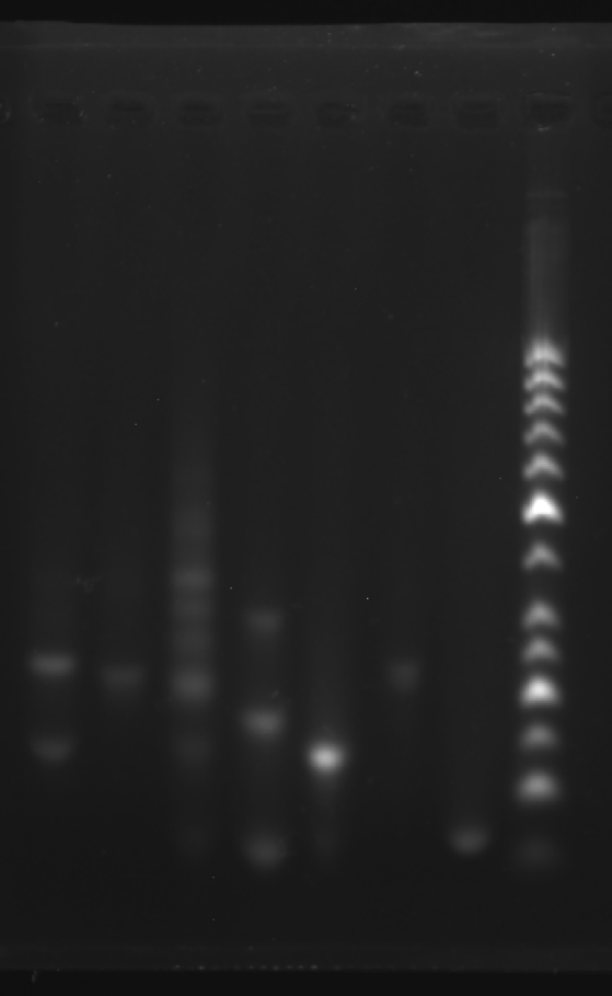 image-20251008212159625