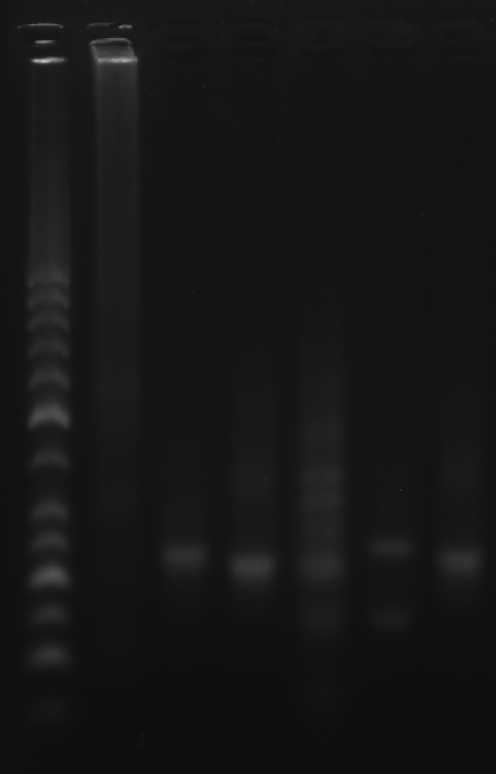 image-20251008212938590