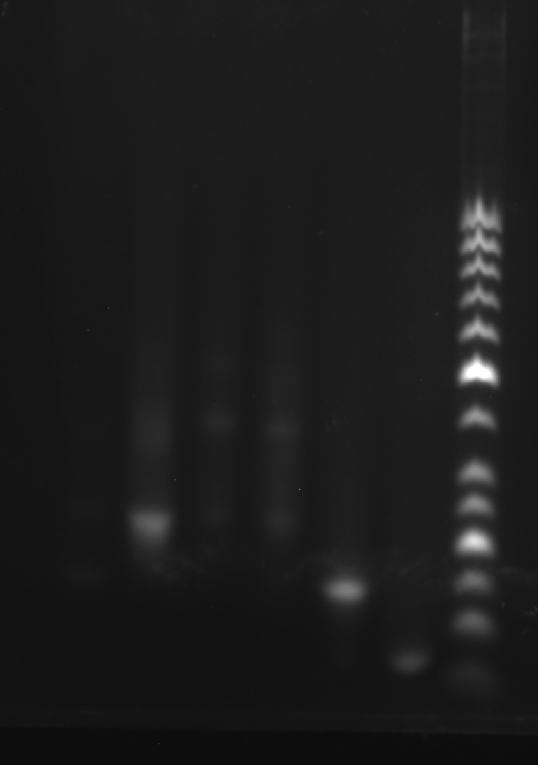 image-20251008213100738