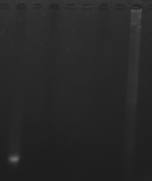 image-20251009010247804