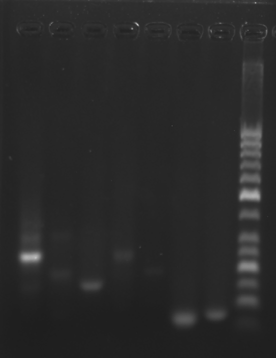 image-20251009010416080