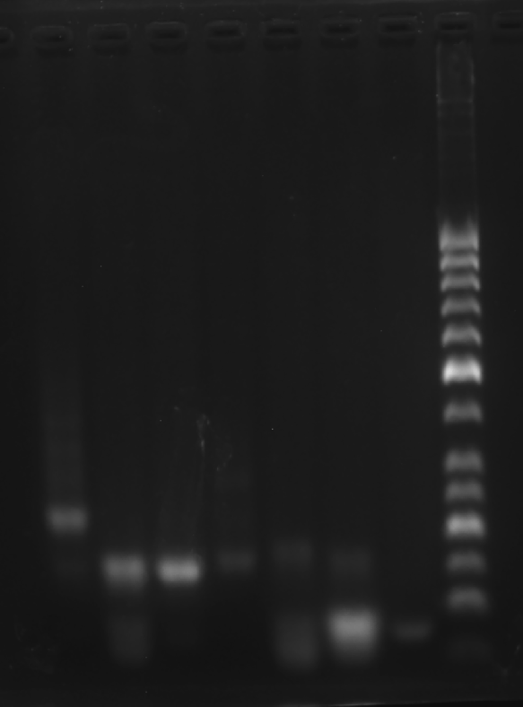 image-20251009010620676