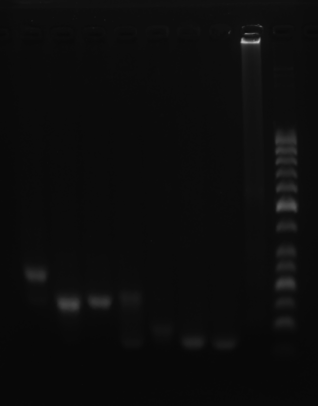 image-20251009010645765