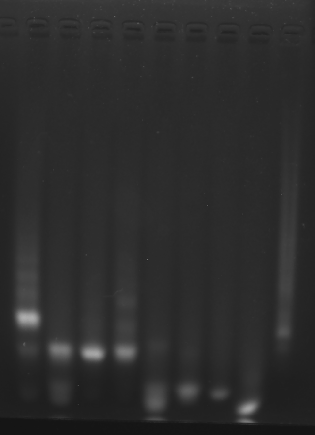 image-20251009010929093