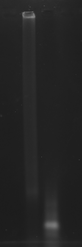 image-20251009011111448