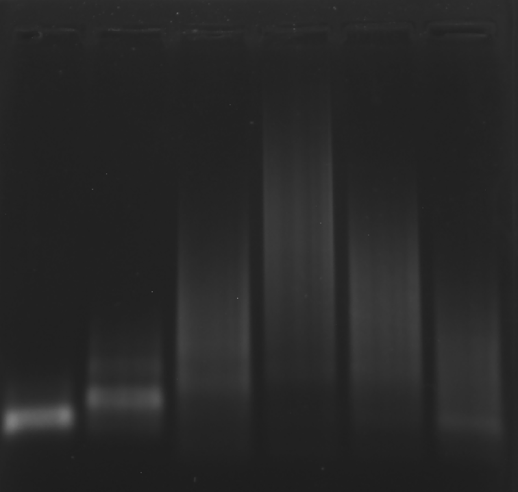 image-20251009011823681