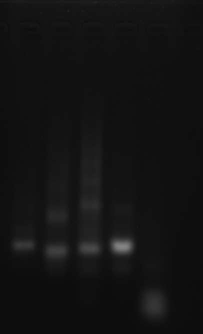 image-20251009011849483