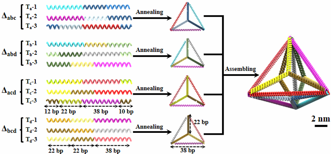 image-20251004123107416